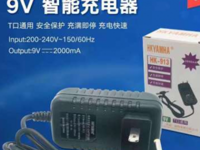 9V2A 12v2a 13.5v 15v3A 音响专用充电器 移动DVD安防监控充电器
