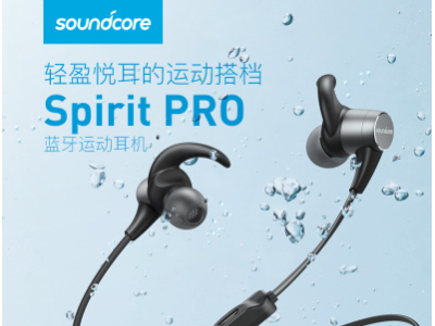 Anker安克运动蓝牙耳机 Soundcore 降噪通话无线蓝牙运动耳机 黑