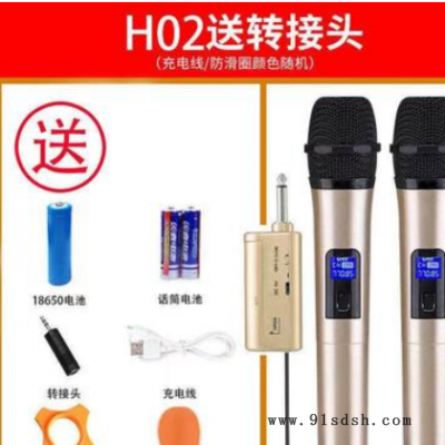 厂家万能无线话筒一拖二多功能麦克风家用户外k歌家用KTV会议舞台图3