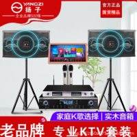 扬子品牌家庭ktv音响套装k歌家用音王点歌机酒吧音箱全套大功率