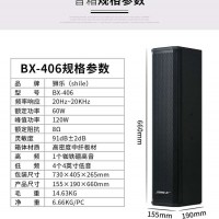 100平会议音响设备品牌-狮乐同行认可-松原会议音响设备品牌