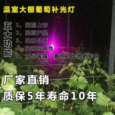 植物补光灯-奥卡电子科技-大棚植物补光灯价格