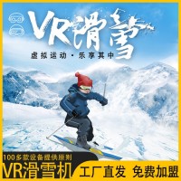 拓普互动vr滑雪机 虚拟vr滑雪设备 大型VR体感设备厂家