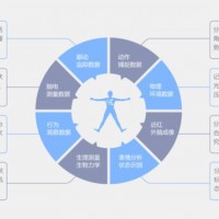 Tobii VR虚拟现实眼动仪