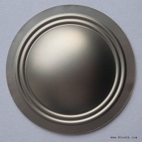 银结T34-21B-300C音膜/振膜