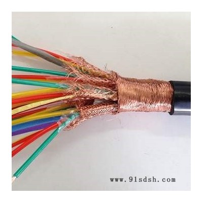 计算机电缆ZBN-DJYP2VR分屏总屏仪表电缆组合双绞/对绞电缆TICW/06-2009