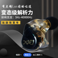 R8定制树脂倒模耳机 入耳式发烧级HIFI拨插MMCX接口监听圈铁耳塞