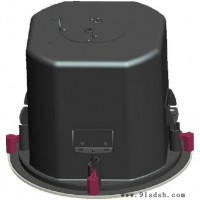 塑料后罩天花喇叭ip对讲