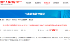 广东省梅州市市场监管局通报2022年扬声器等9种产品质量监督抽查情况